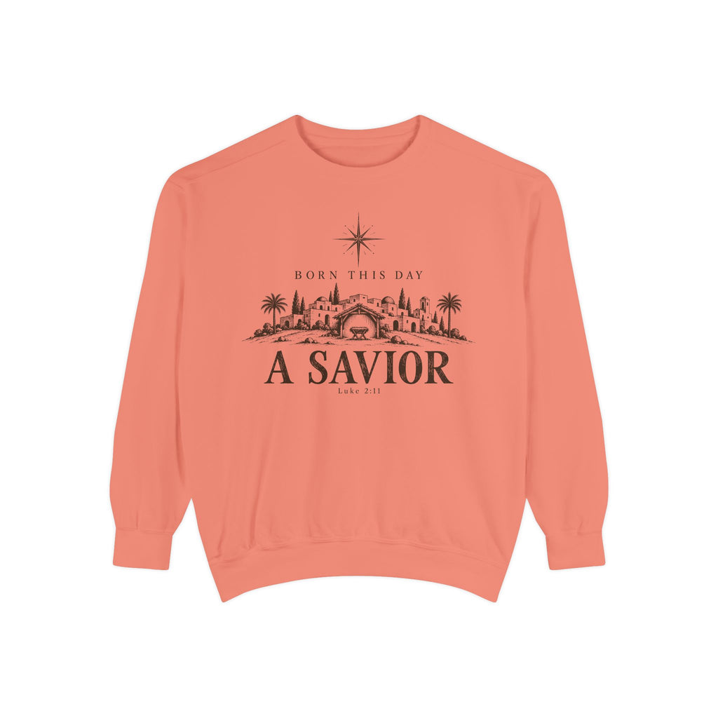 Terracotta Christian Christmas sweatshirt with Born This Day A Savior lettering, a star over a Bethlehem town scene, a manger and Luke 2:11.