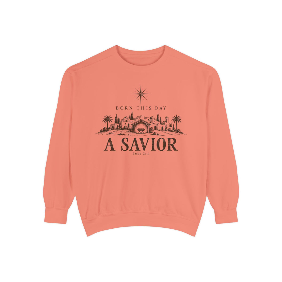 Terracotta Christian Christmas sweatshirt with Born This Day A Savior lettering, a star over a Bethlehem town scene, a manger and Luke 2:11.
