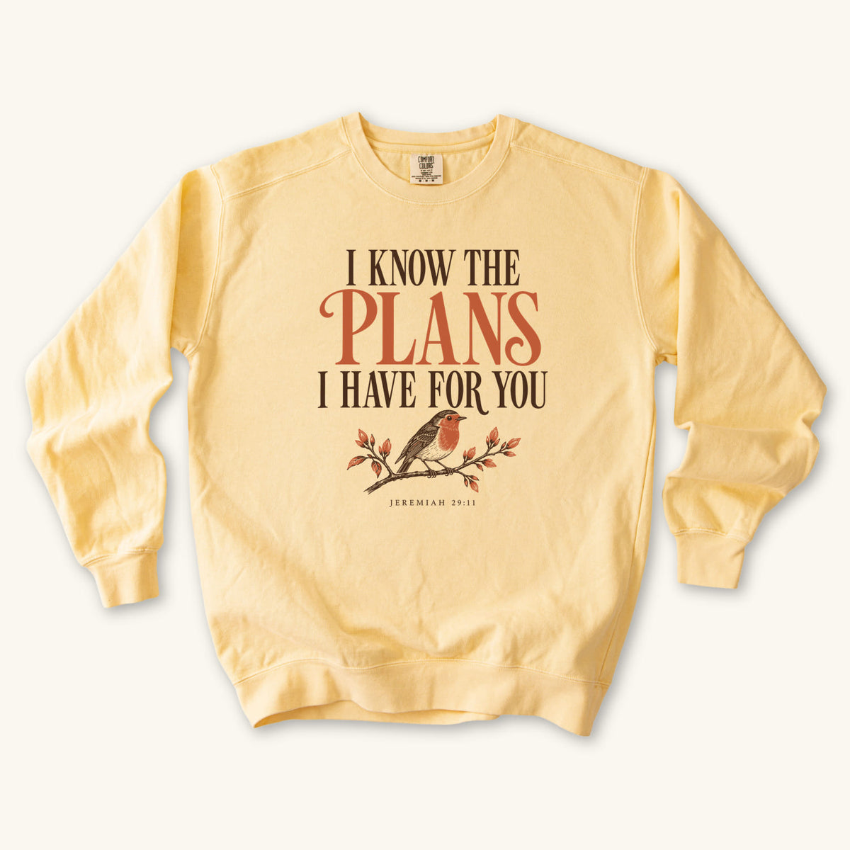 Butter I Know the Plans Bird sweatshirt flat lay mockup, Jeremiah 29:11 Christian apparel for women