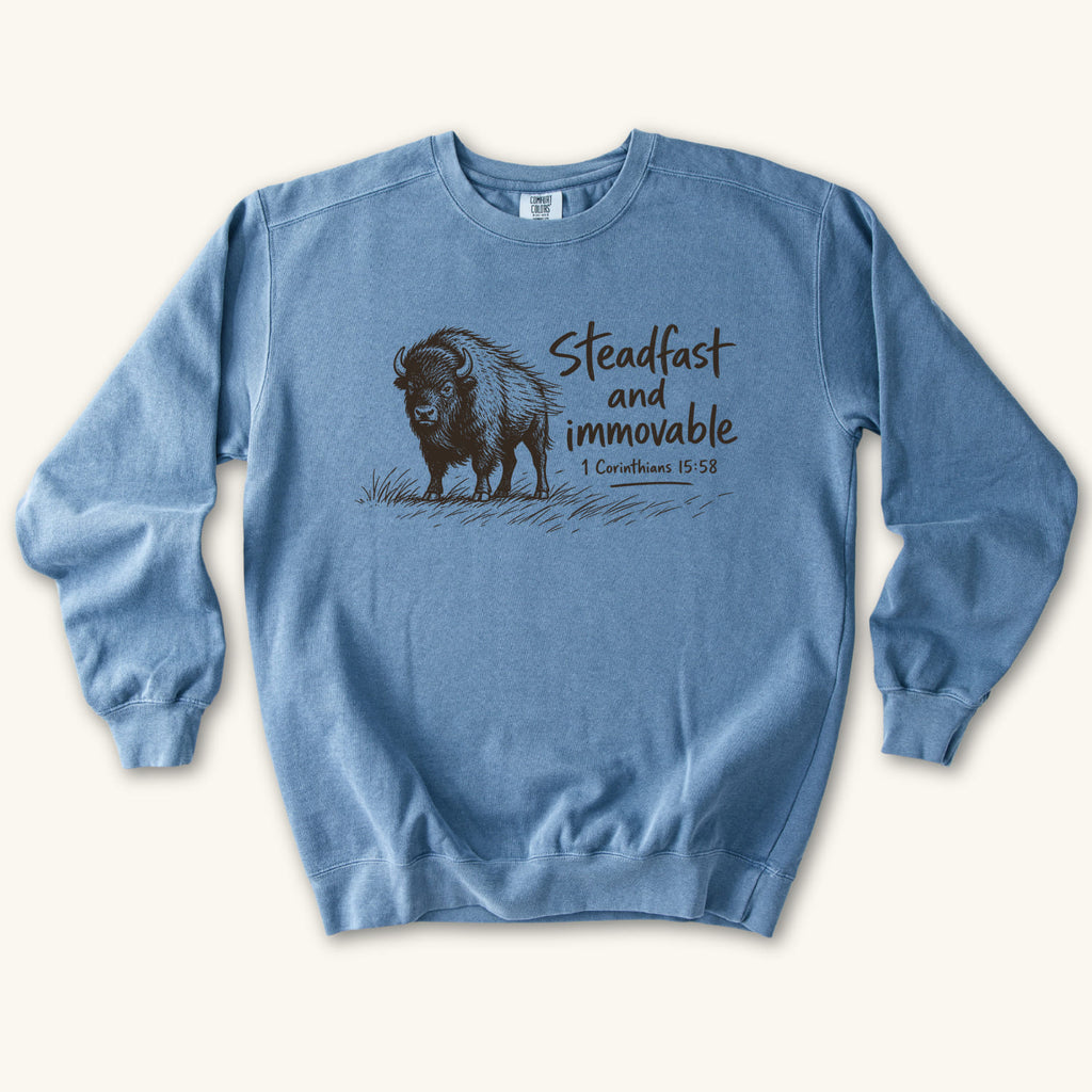 Blue Jean Steadfast and Immovable Bison sweatshirt flat lay mockup, 1 Corinthians 15:58 Christian apparel for women