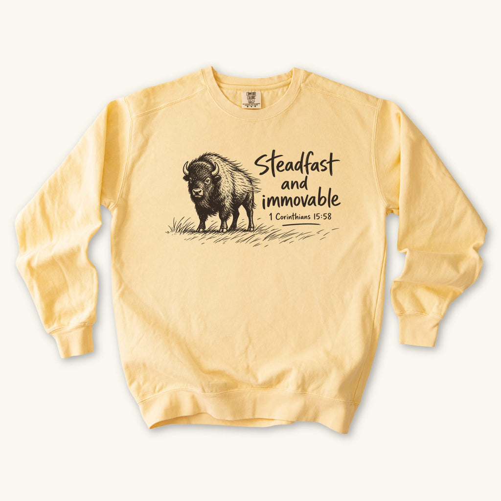 Butter Steadfast and Immovable Bison sweatshirt flat lay mockup, 1 Corinthians 15:58 Christian apparel for women