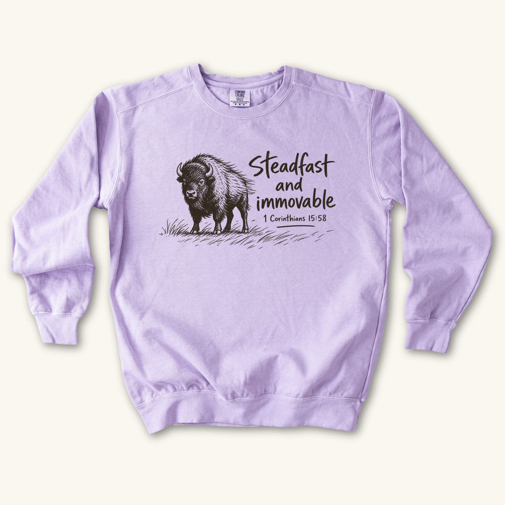 Orchid Steadfast and Immovable Bison sweatshirt flat lay mockup, 1 Corinthians 15:58 Christian apparel for women