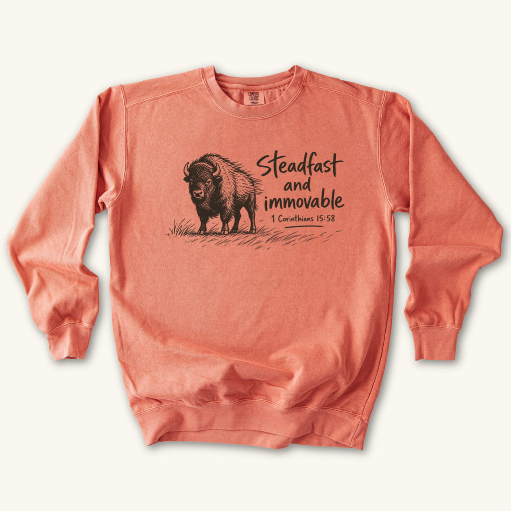 Terracotta Steadfast and Immovable Bison sweatshirt flat lay mockup, 1 Corinthians 15:58 Christian apparel for women