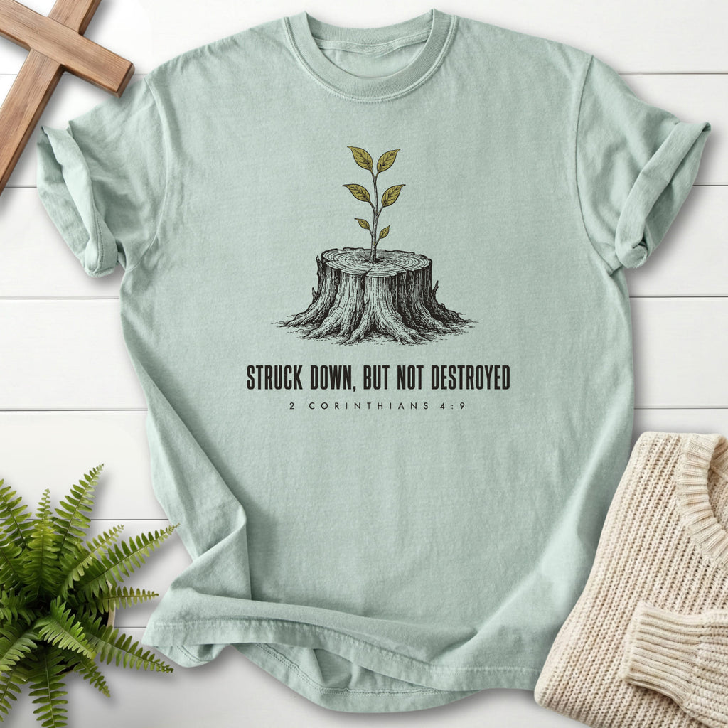 Flat lay of a Bay faith-based tee featuring "Struck Down But Not Destroyed T-Shirt" design.