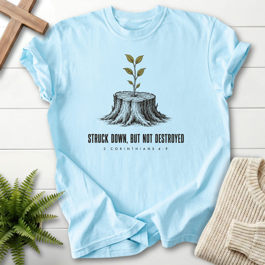 Chambray color option for the Struck Down But Not Destroyed tee with "Struck Down But Not Destroyed T-Shirt" design for women's faith apparel.