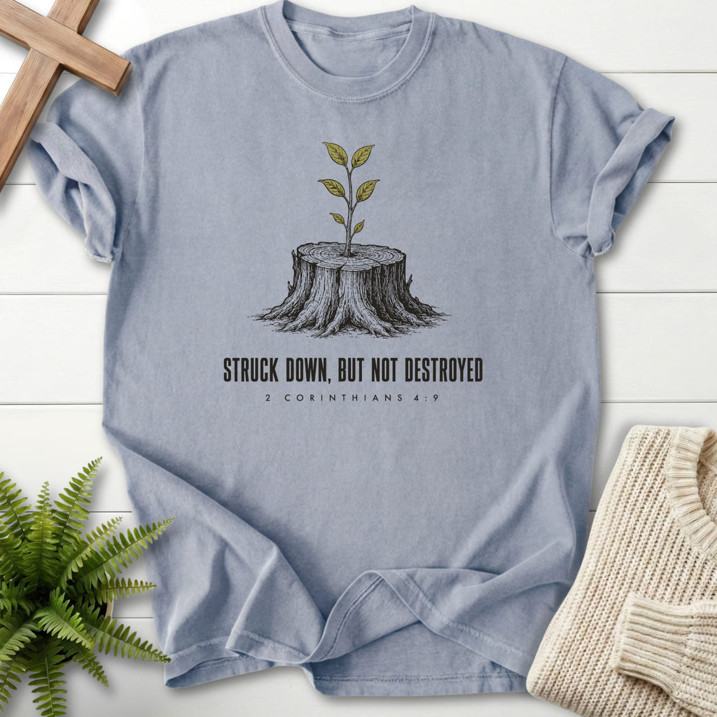 Granite color option for the Struck Down But Not Destroyed garment-dyed Christian tee with "Struck Down But Not Destroyed T-Shirt" design.