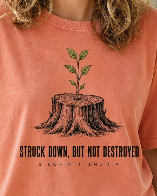 Struck Down But Not Destroyed - Terracotta women's Christian tee, lifestyle photo in farmers market - Tree stump with a green sapling growing from its centre - 2 Corinthians 4:9 - She Wears Faith