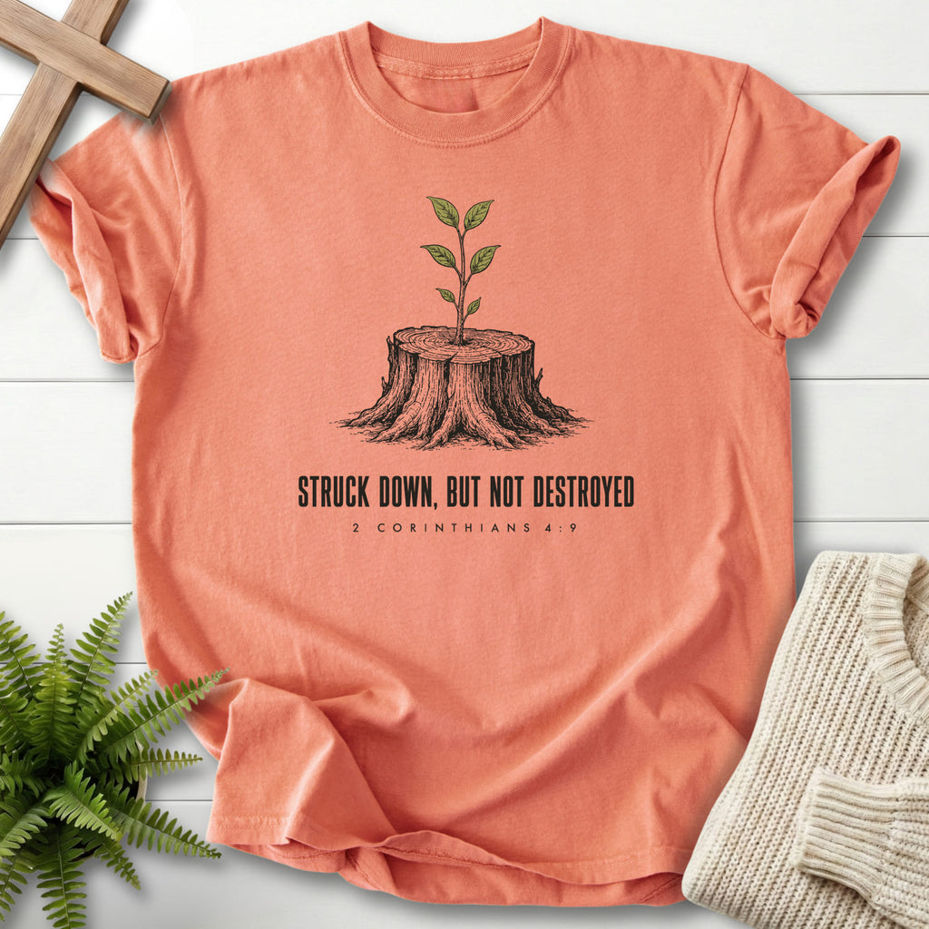 Flat lay of a Terracotta Christian shirt featuring "Struck Down But Not Destroyed T-Shirt" design.